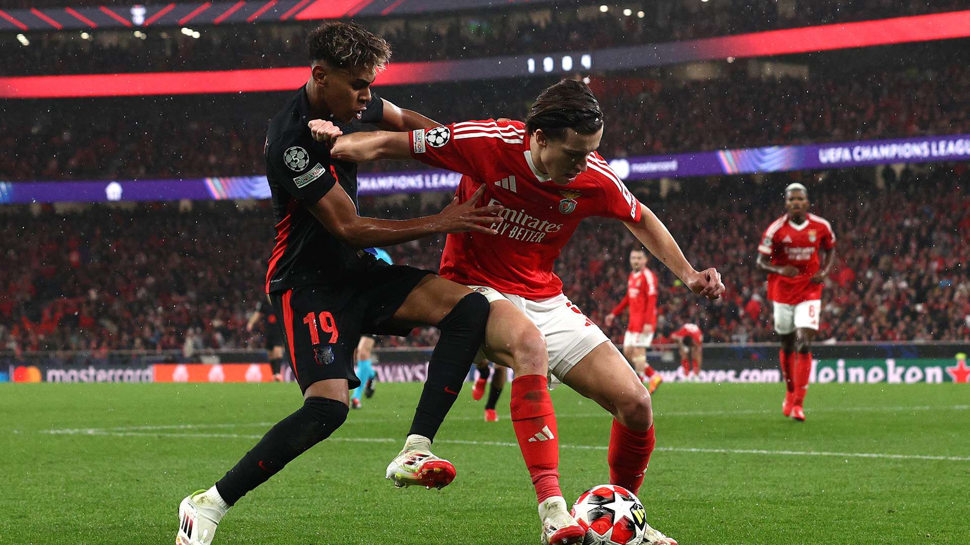 奇球星的珍 奇球星的珍